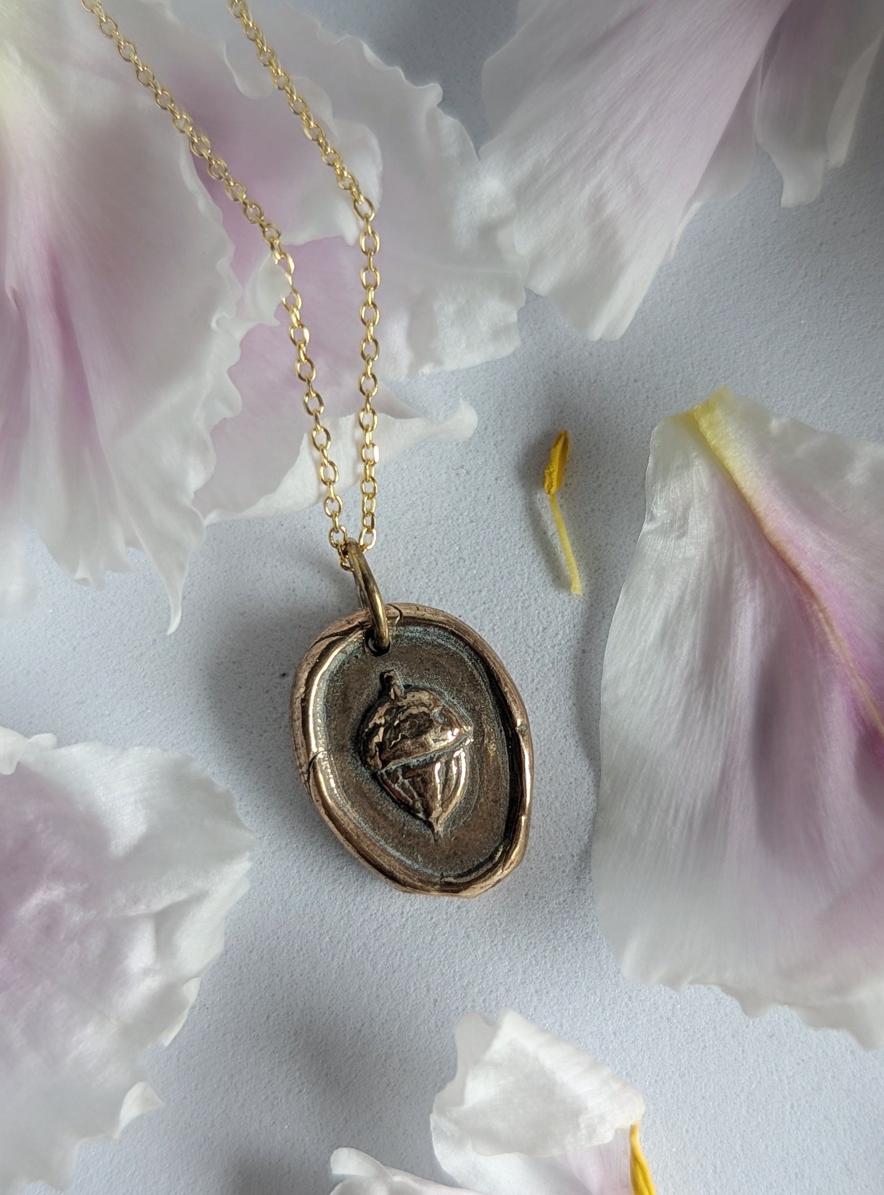 TALISMAN Transformation: Acorn