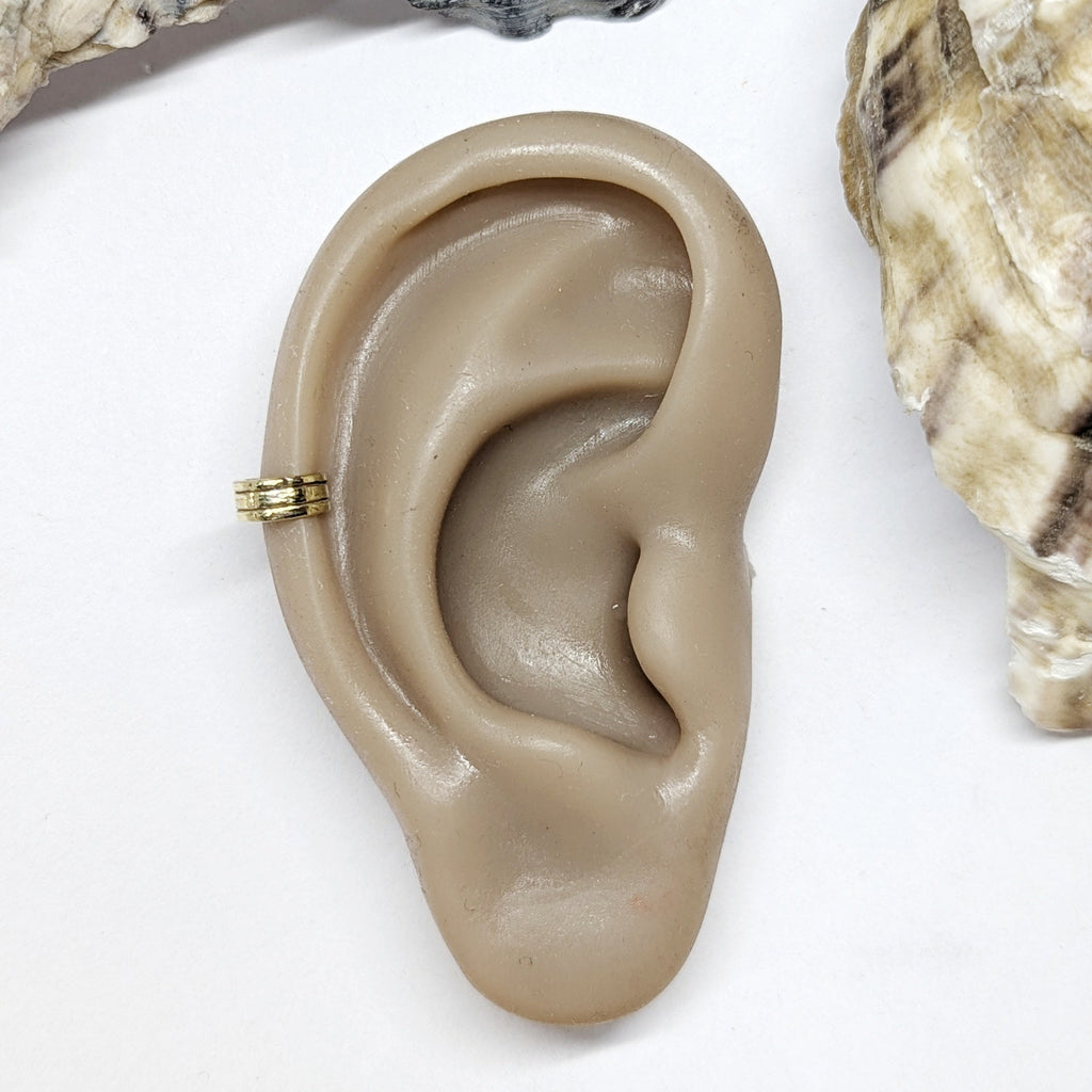 Beige ear model with a gold ring on a white background with oyster shells.