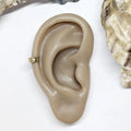 Beige ear model with a gold ring on a white background with oyster shells.