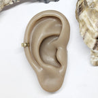 Beige ear model with a gold ring on a white background with oyster shells.
